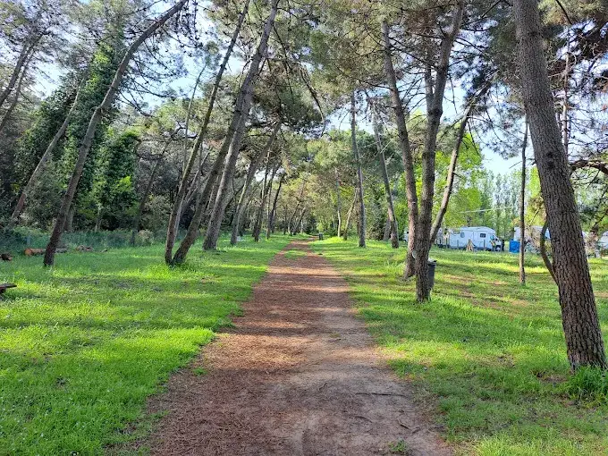 Area di sosta camper "Mare e Parco" - Casalborsetti